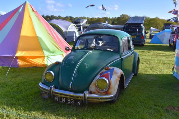 Green Beetle