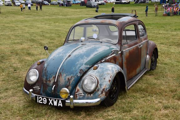 Patina Beetle